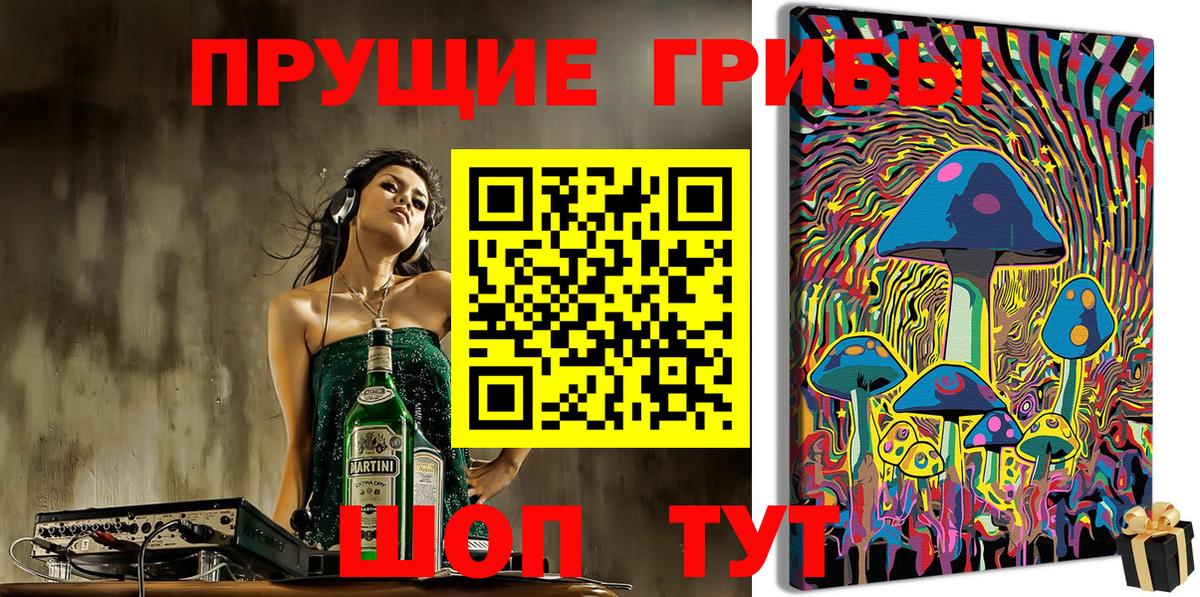 Галлюциногенные грибы мицелий  Псилоцибиновые грибы ЛСД  Вход с VPN  Черногорск 